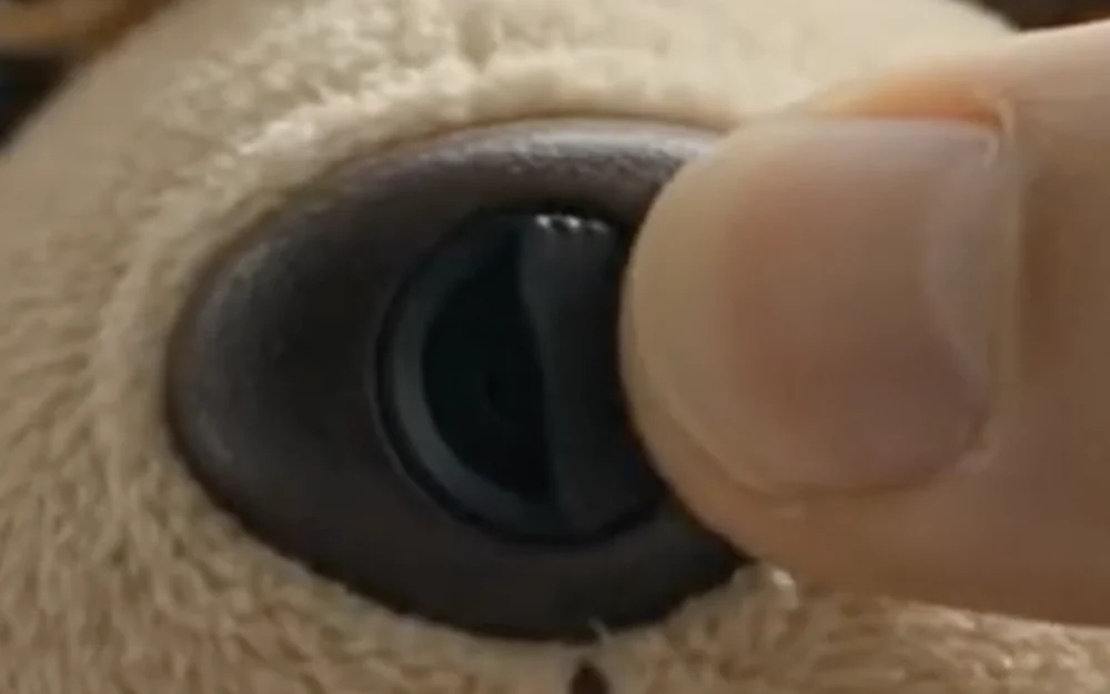 A thumb sliding the shutter closed over the lens in the bear's nose.